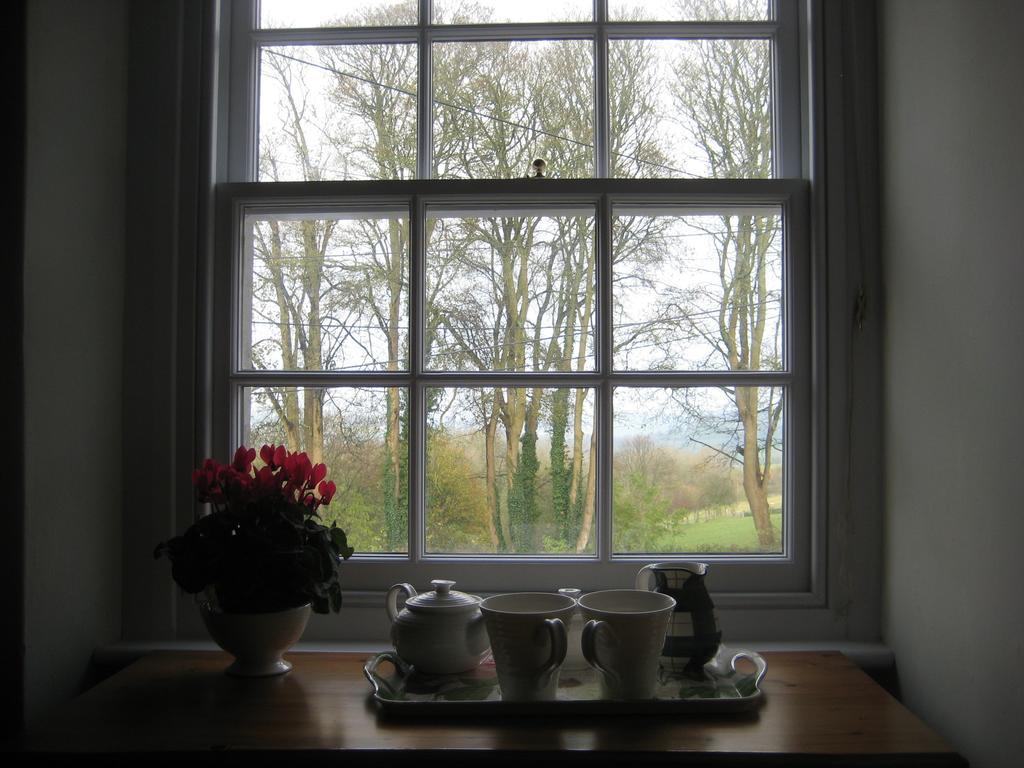 Prospect Cottage Box  Rom bilde